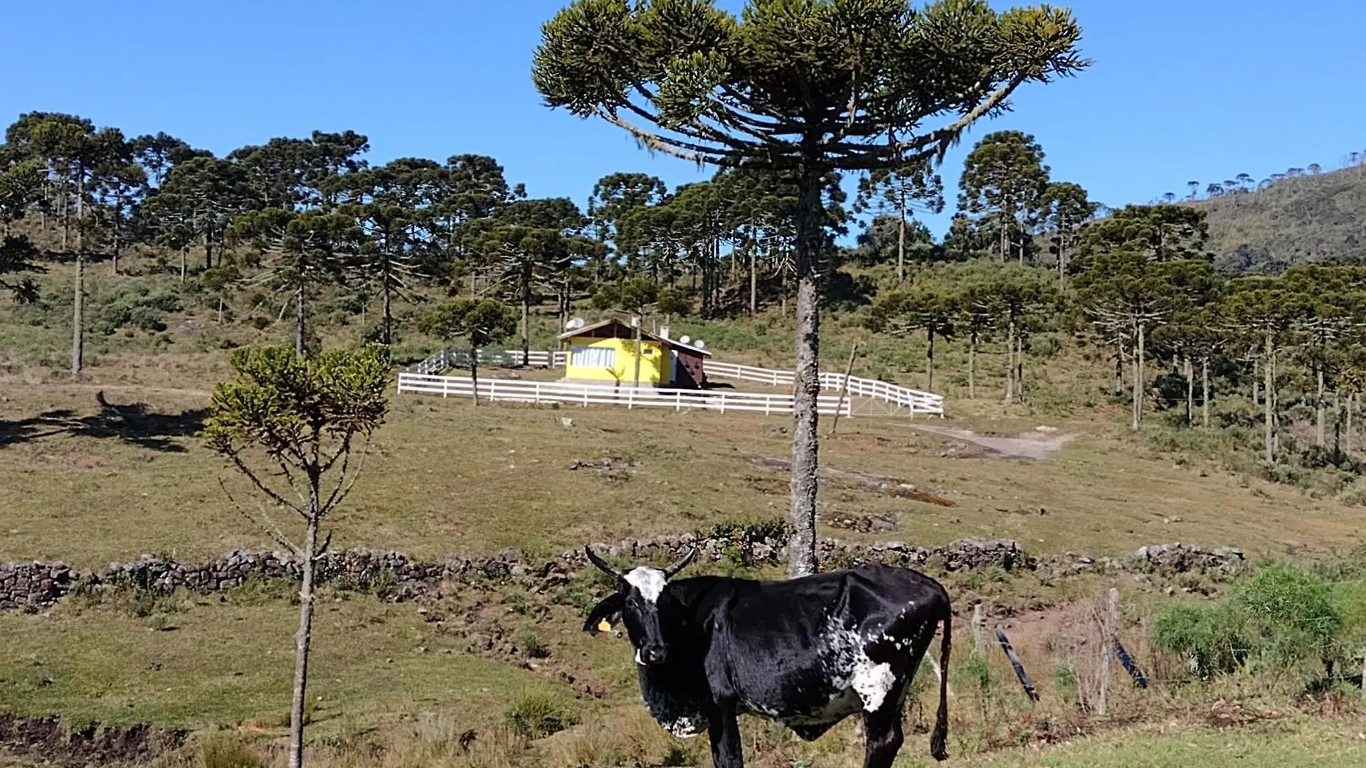 Casa de Férias Casa E Cabana De Campo Fazenda Borba Urubici