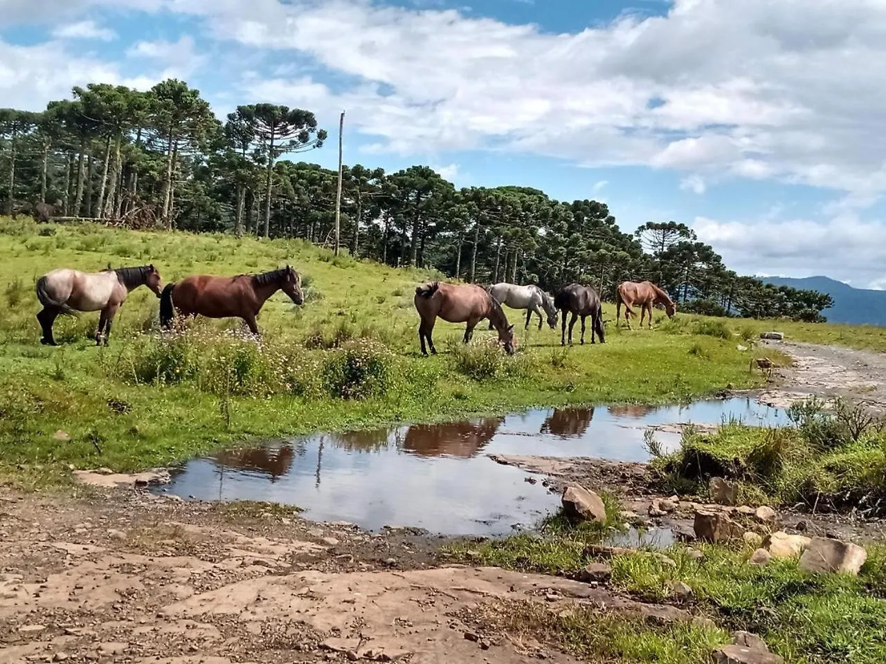Casa E Cabana De Campo Fazenda Borba Urubici Casa de Férias