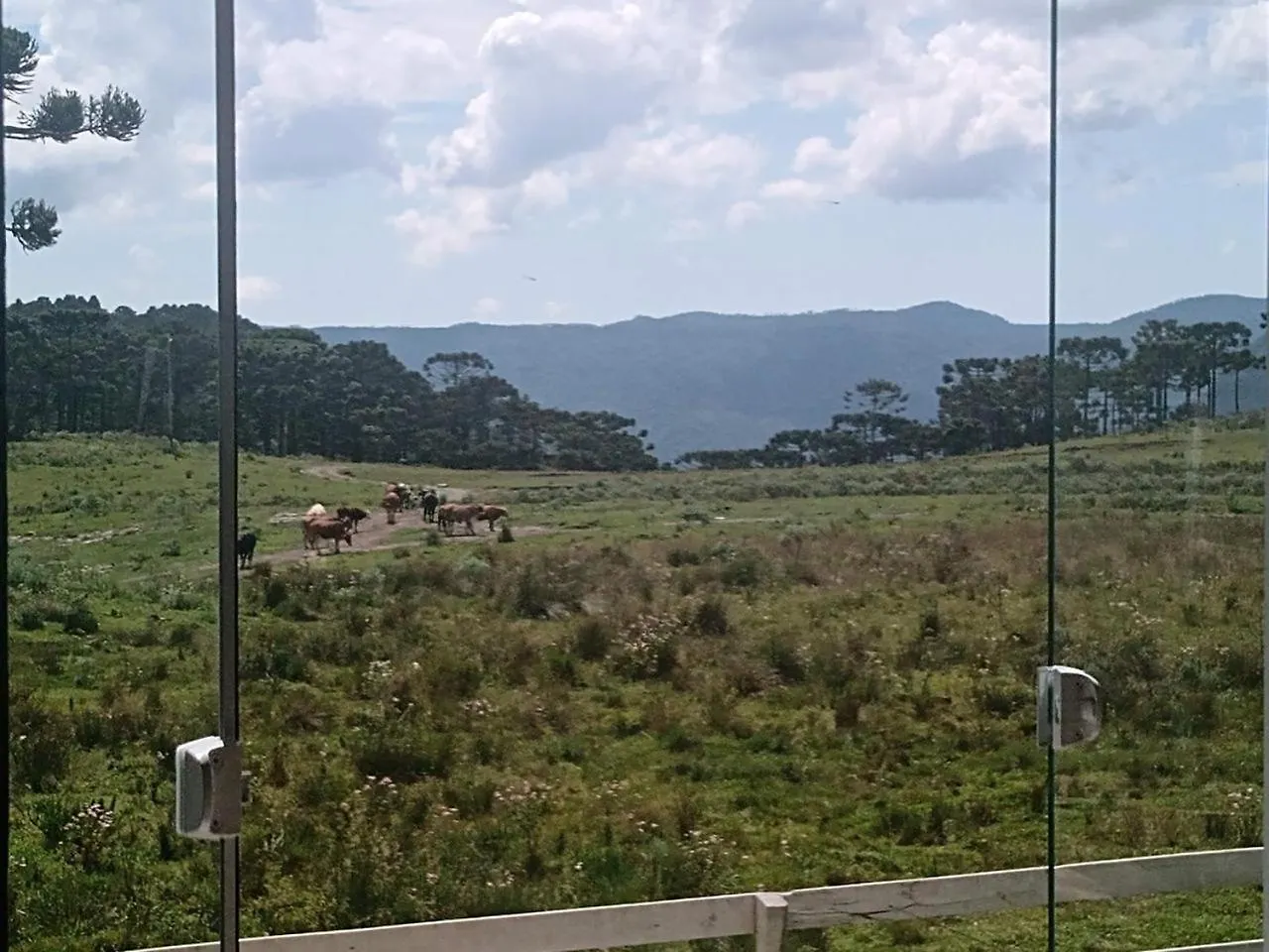 Casa de Férias Casa E Cabana De Campo Fazenda Borba Urubici Brasil